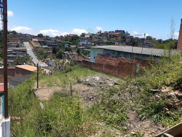 Imagem da propriedade 11