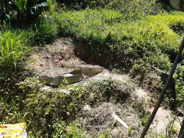 Imagem da propriedade 5