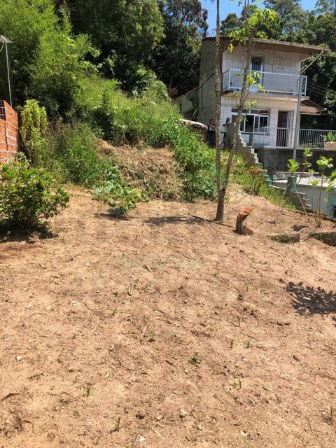 Imagem da propriedade 3