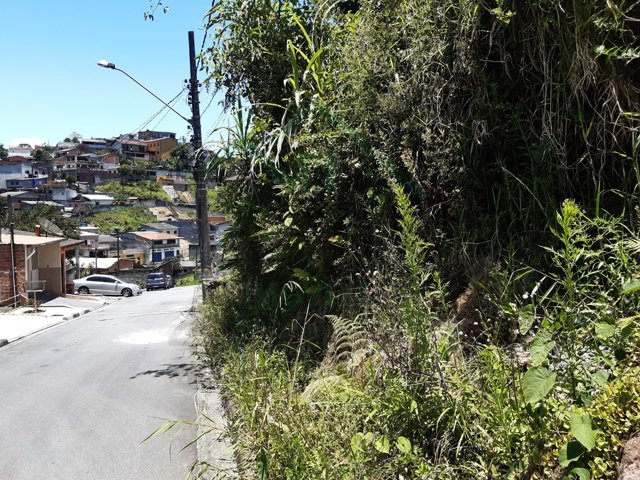 Imagem da propriedade 4