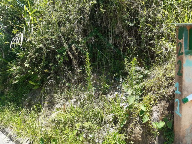 Imagem da propriedade 7