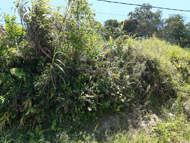 Imagem da propriedade 8