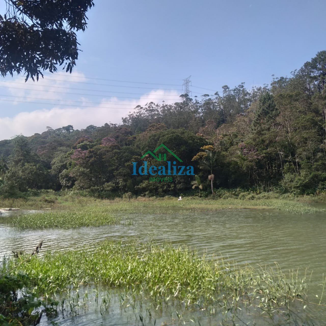 Imagem da propriedade 5