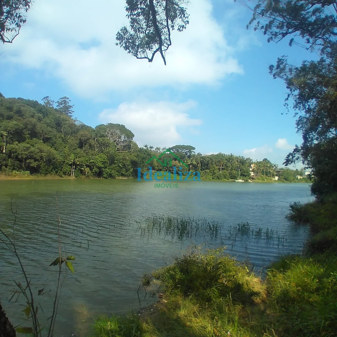 Imagem da propriedade 10