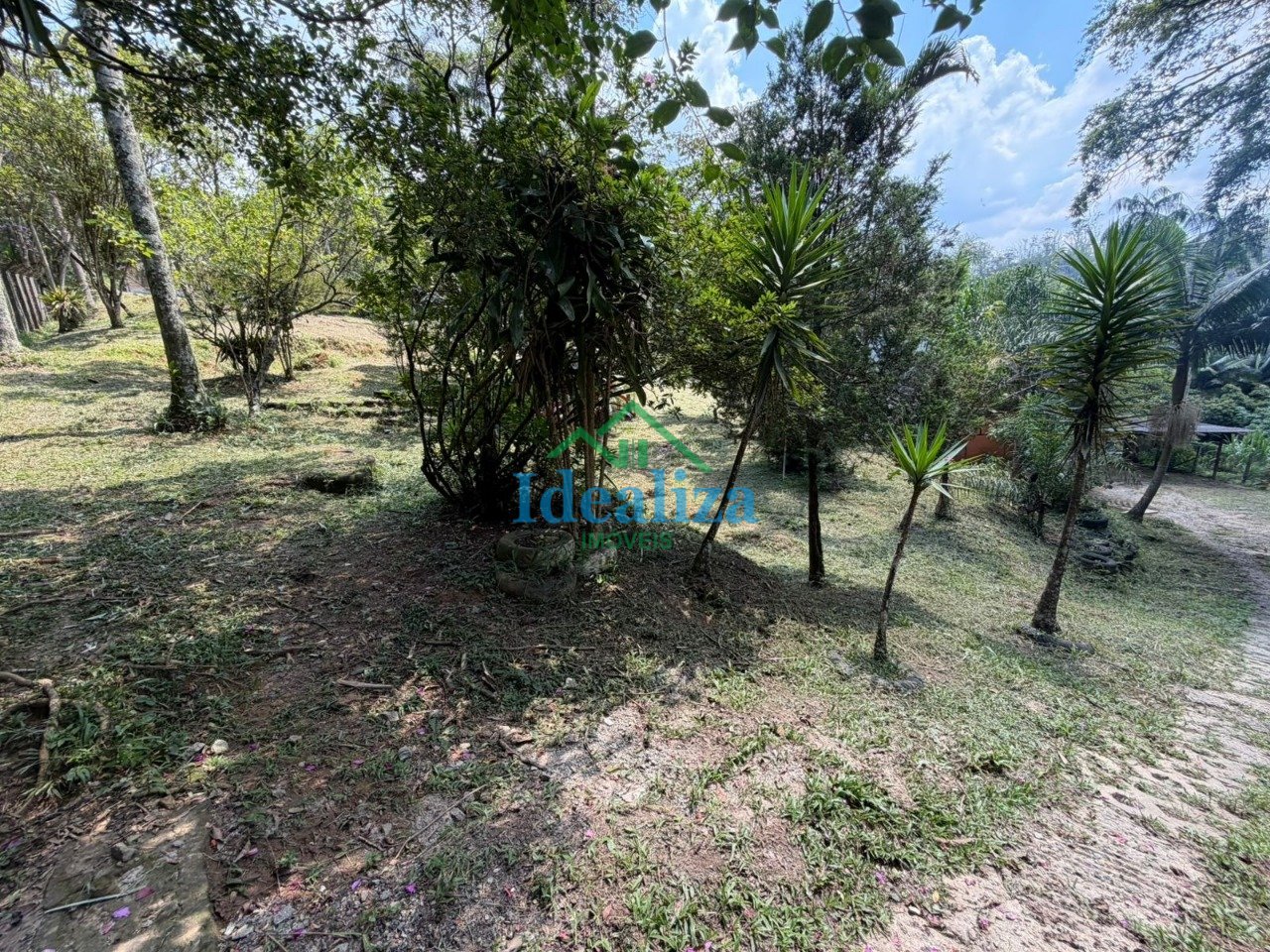 Imagem da propriedade 8