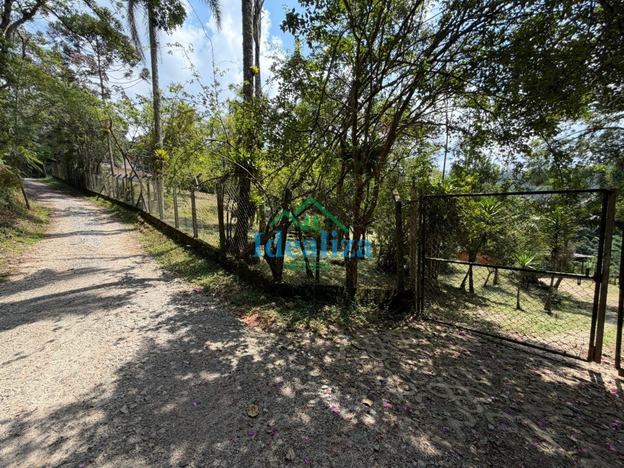 Imagem da propriedade 9