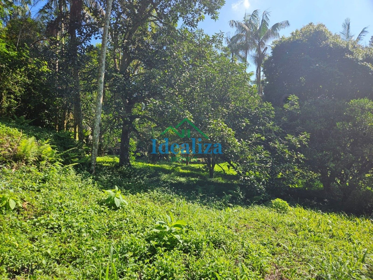 Imagem da propriedade 19