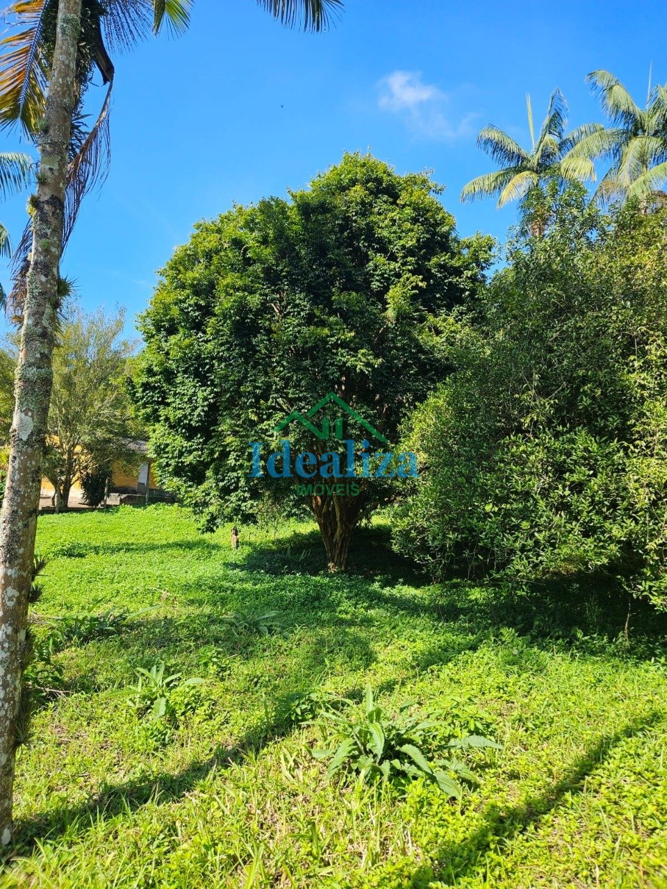 Imagem da propriedade 23