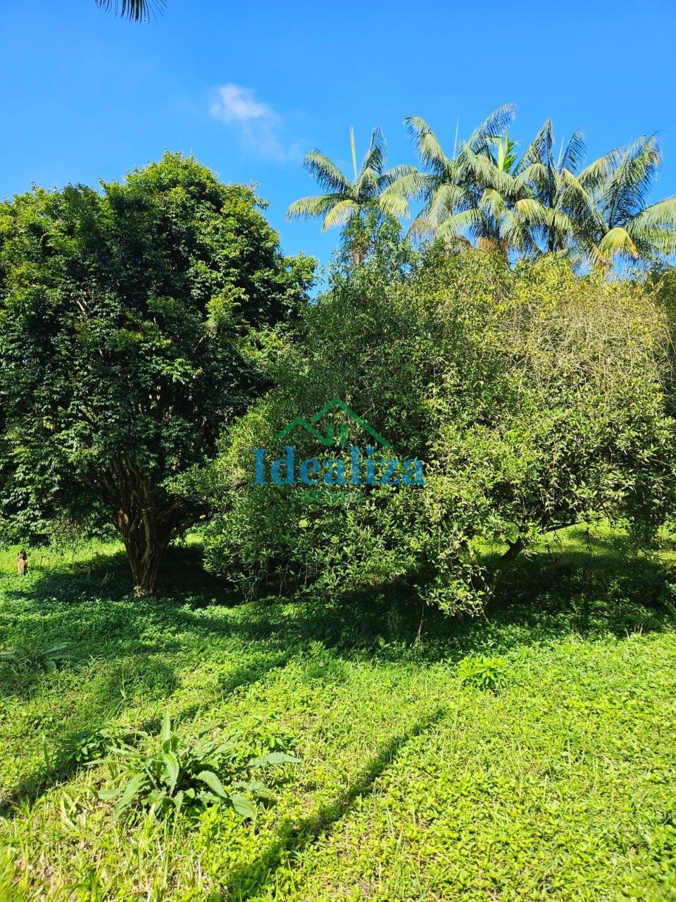 Imagem da propriedade 24