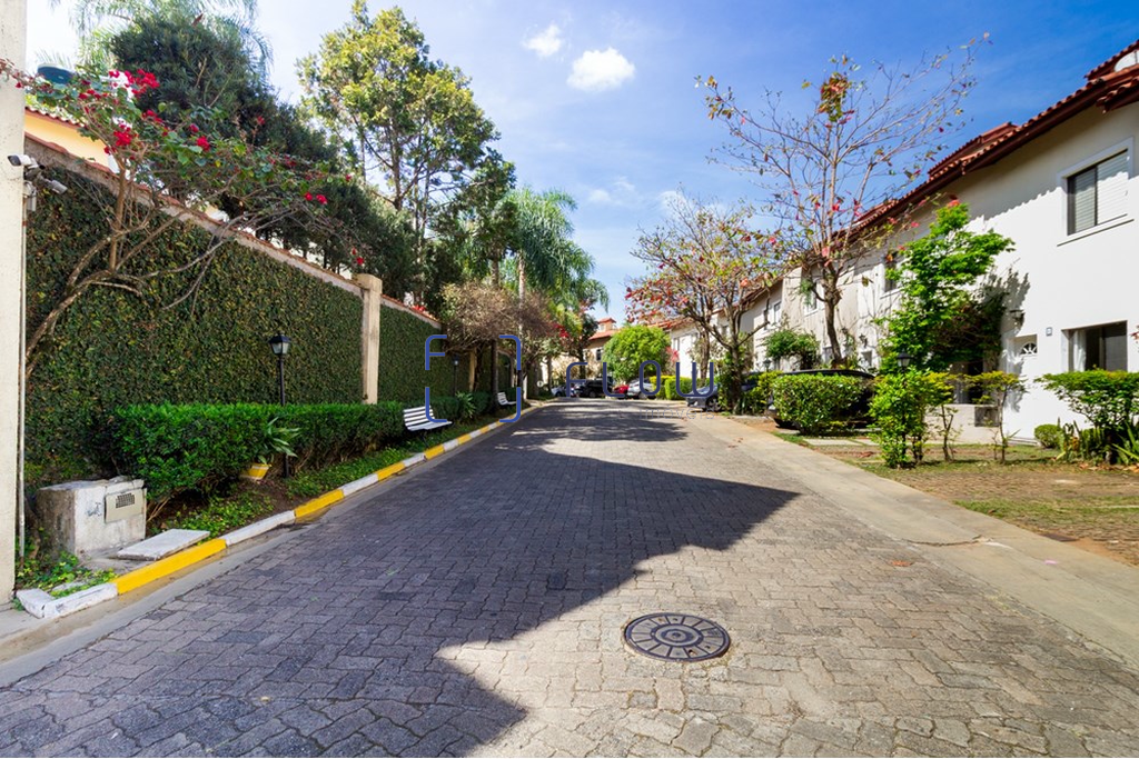 Imagem da propriedade 31