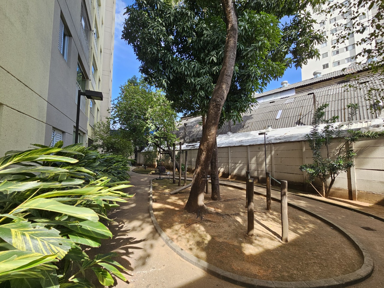 Imagem da propriedade 19