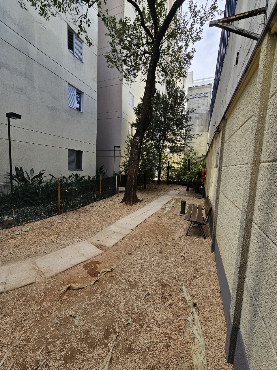 Imagem da propriedade 21