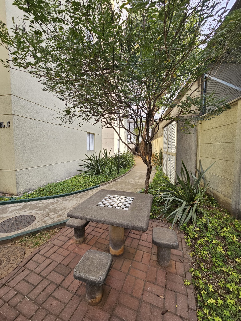 Imagem da propriedade 23