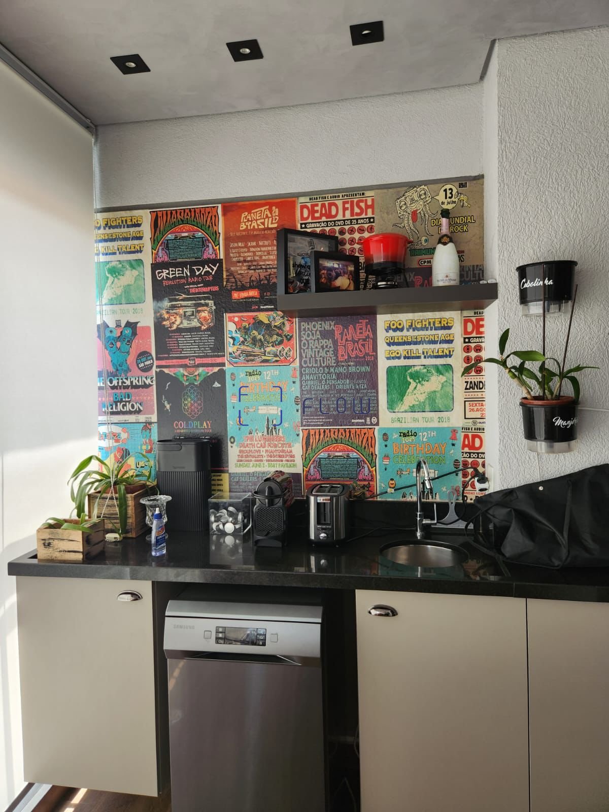 Imagem da propriedade 6