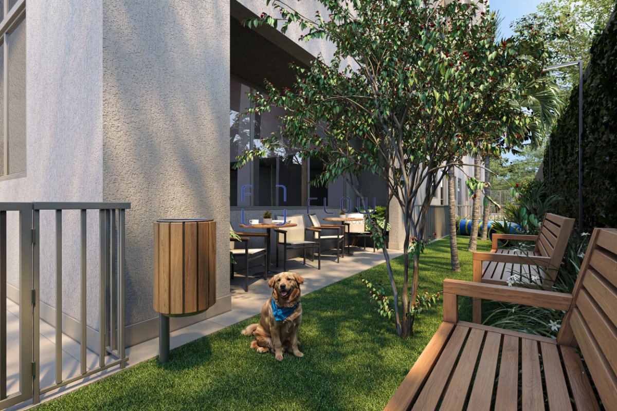 Imagem da propriedade 10