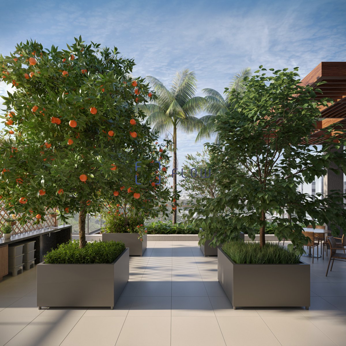 Imagem da propriedade 13