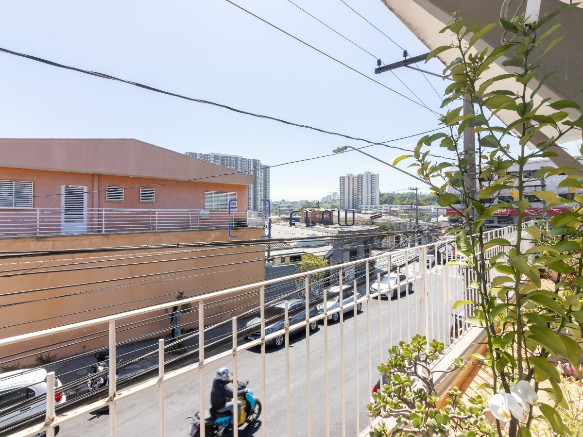 Imagem da propriedade 11