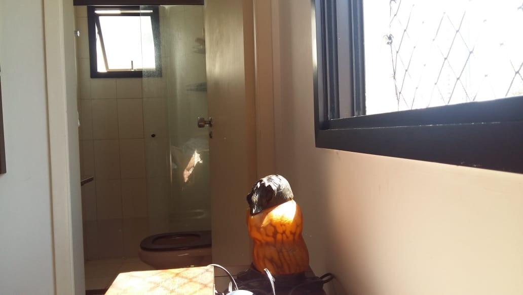 Imagem da propriedade 32