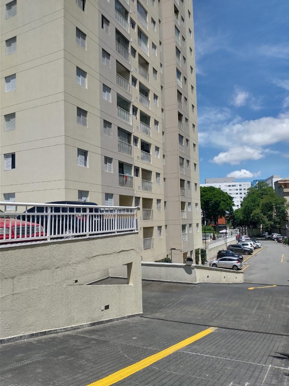 Imagem da propriedade 30