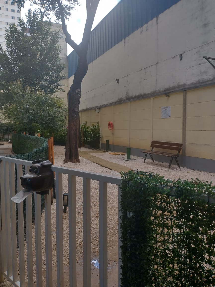 Imagem da propriedade 28