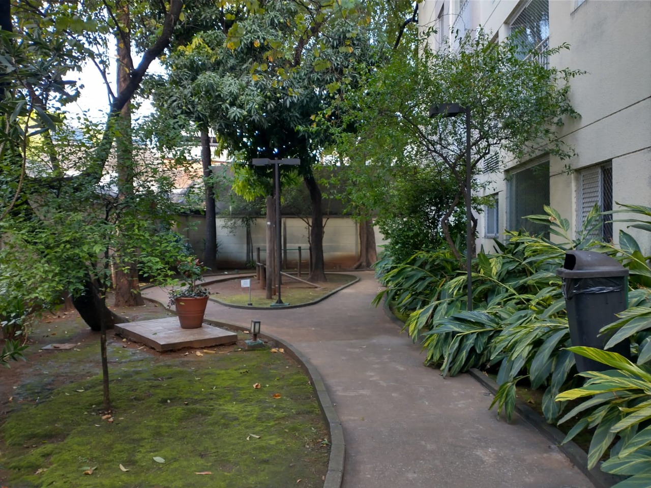 Imagem da propriedade 32