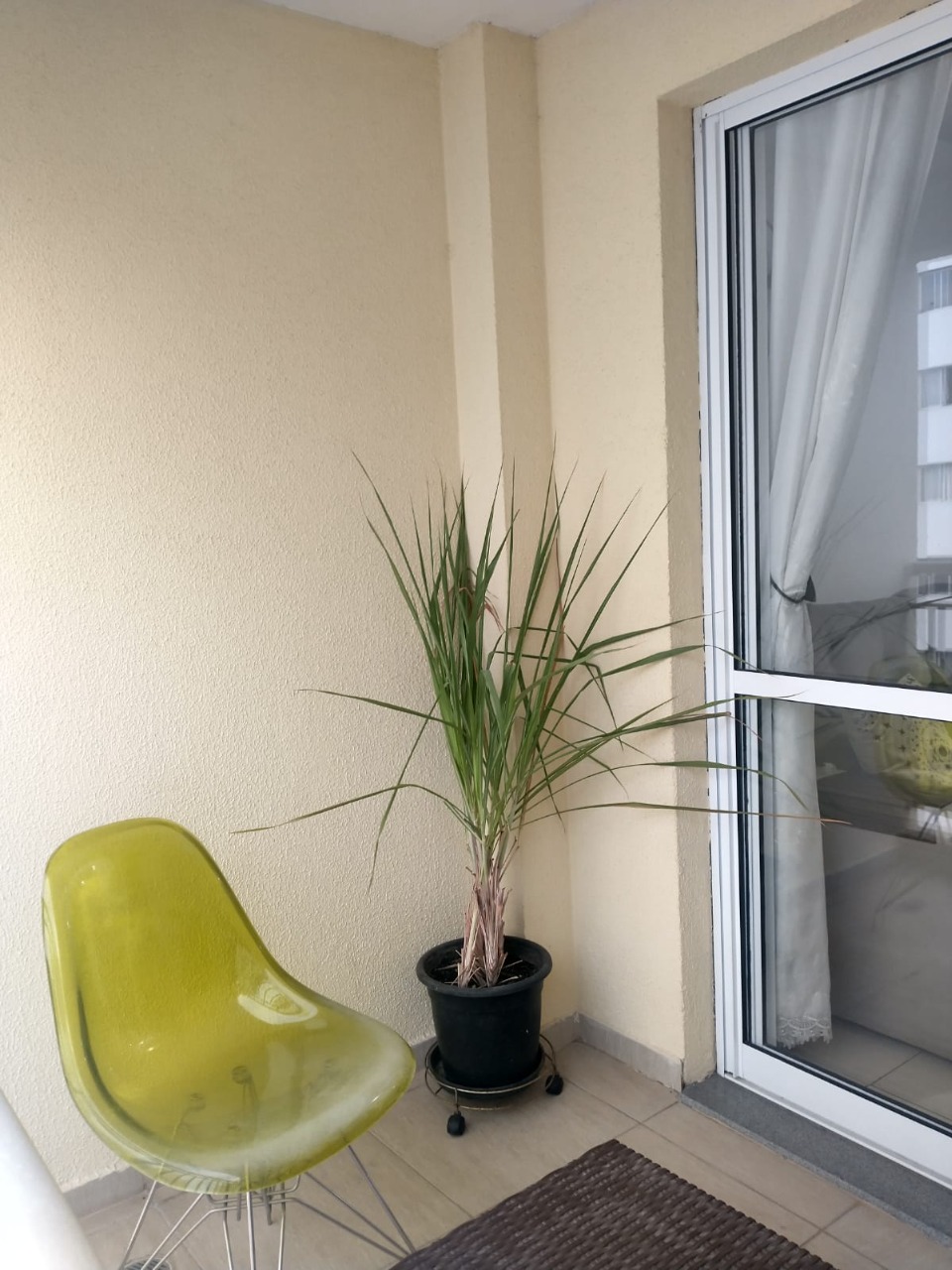 Imagem da propriedade 5