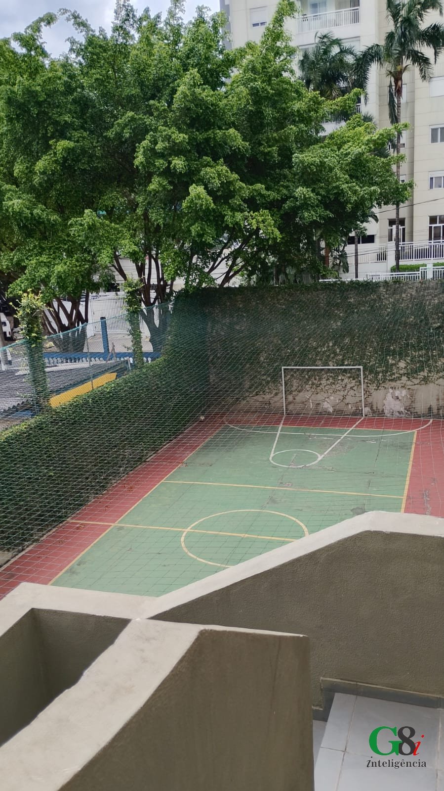 Imagem da propriedade 3