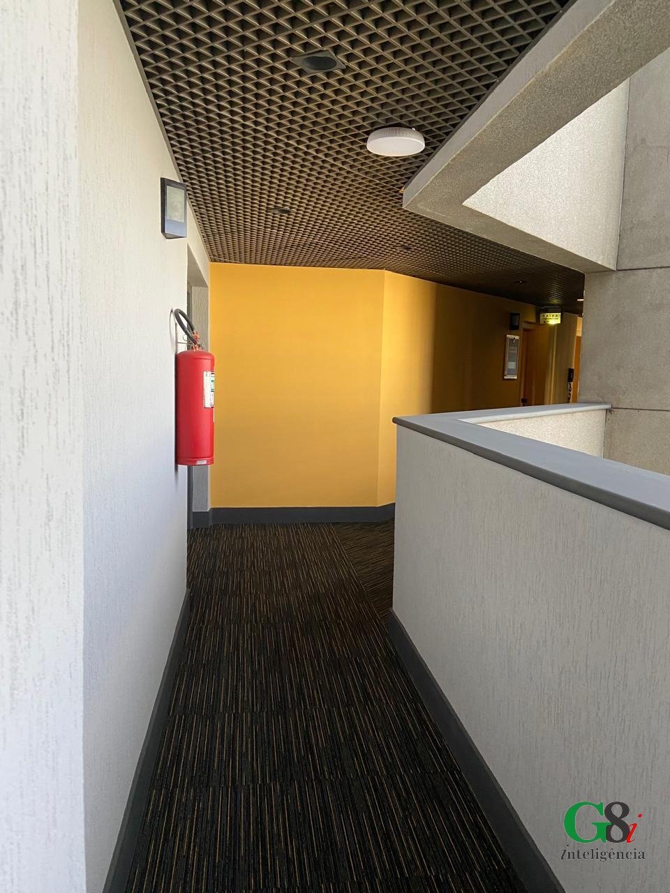 Imagem da propriedade 3