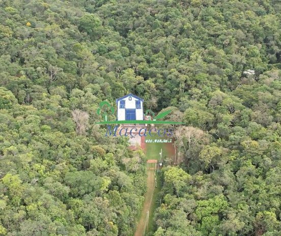 Imagem da propriedade 11