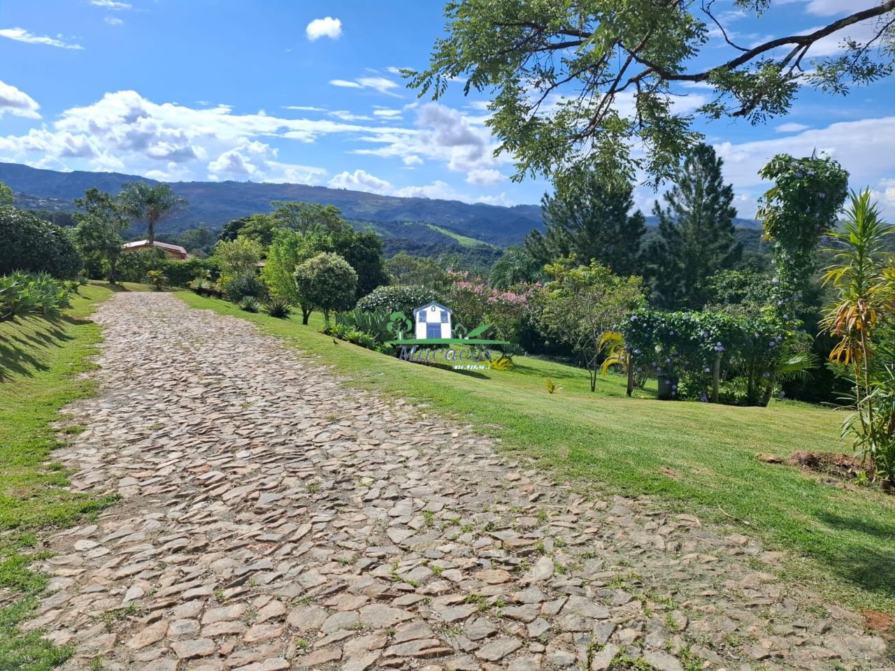 Imagem da propriedade 15