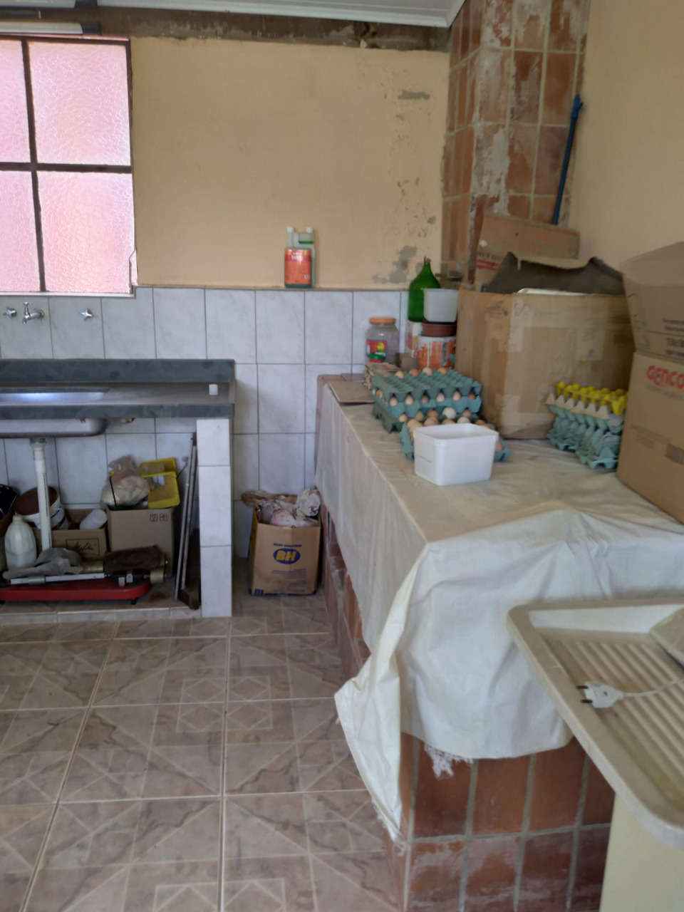 Imagem da propriedade 1744757 19