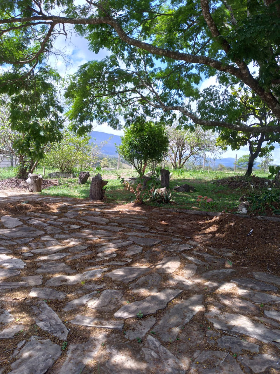 Imagem da propriedade 1744757 21