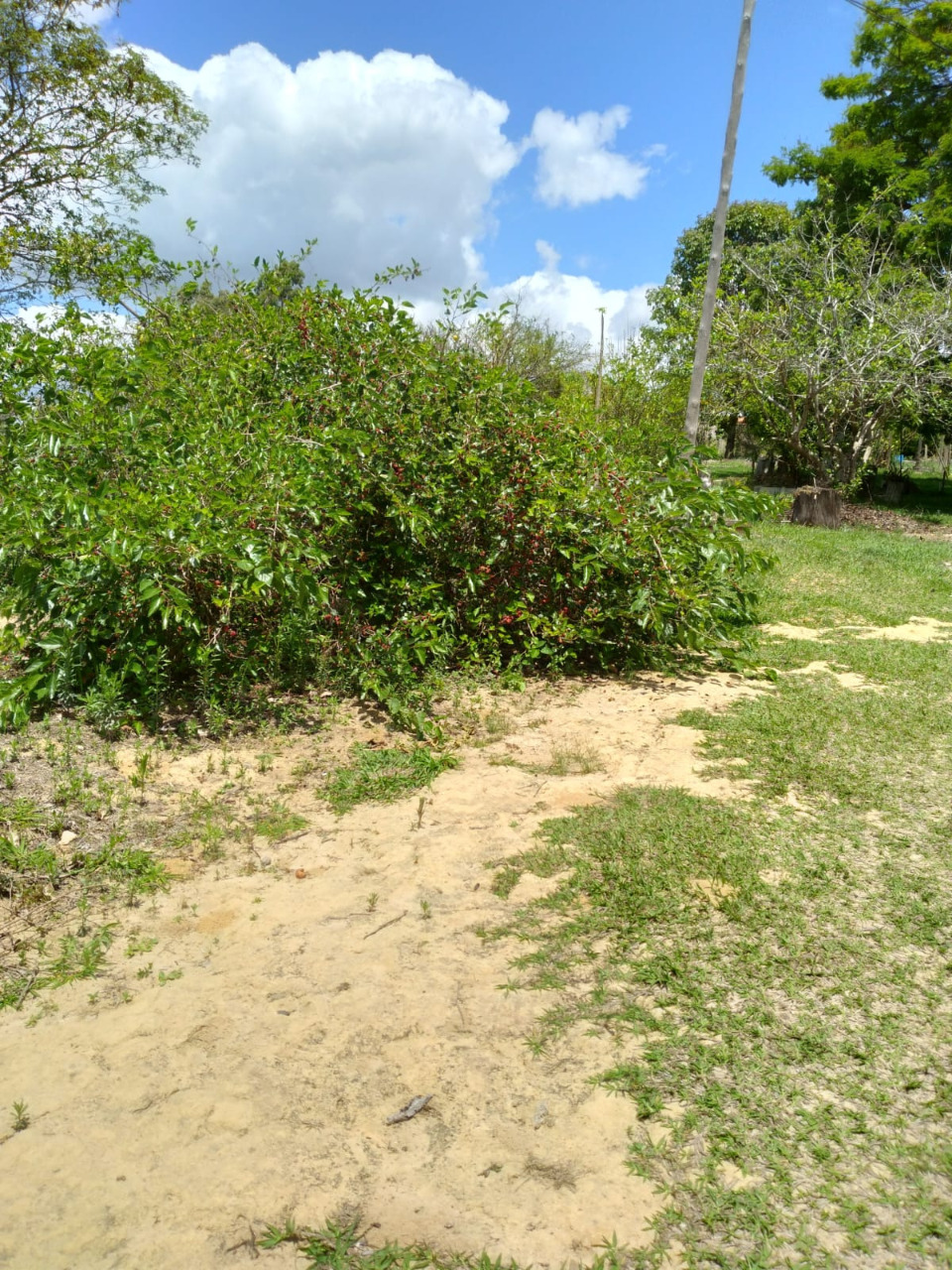 Imagem da propriedade 1744757 22