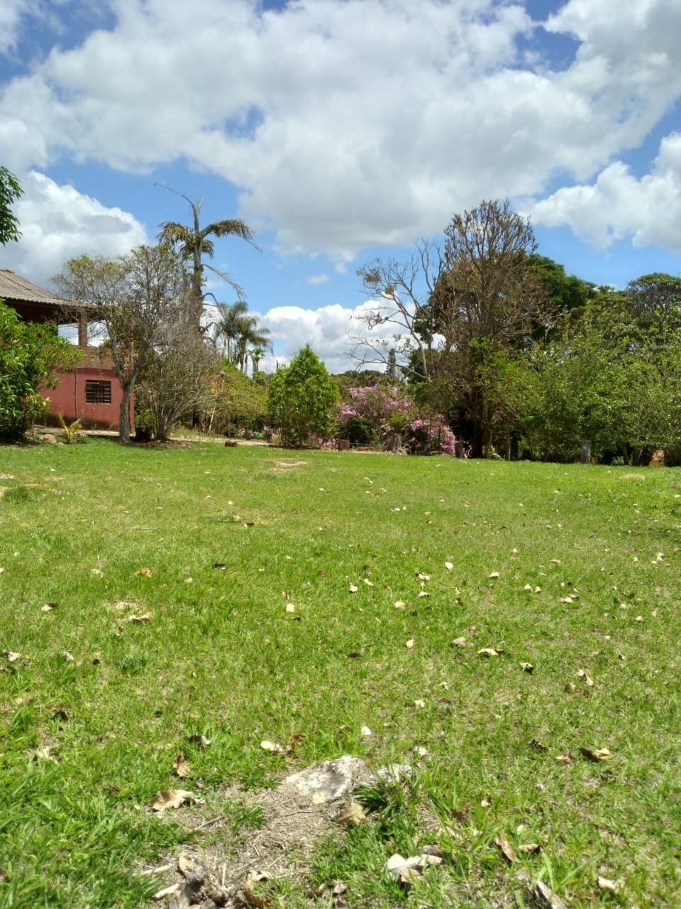 Imagem da propriedade 1744757 23