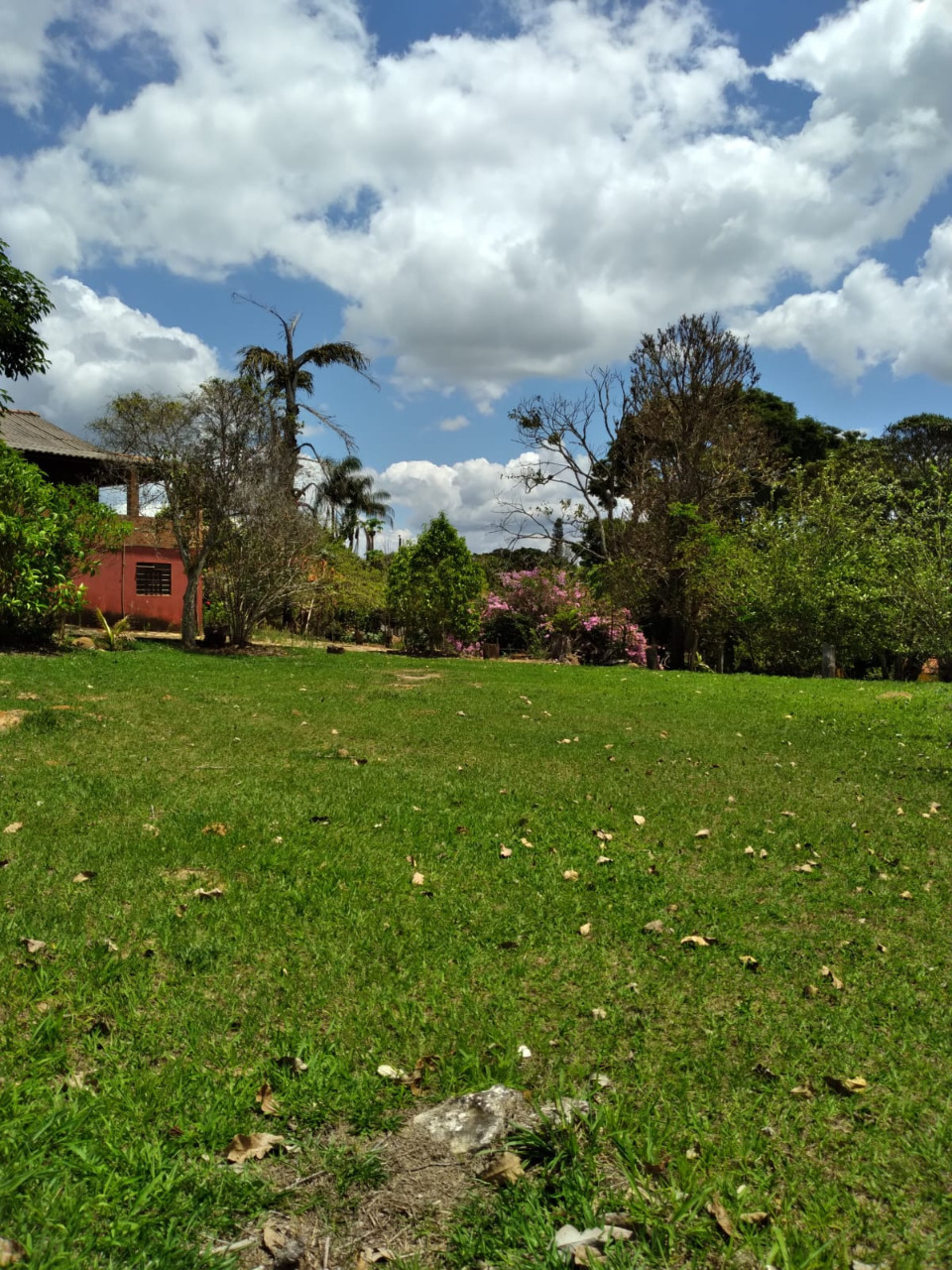 Imagem da propriedade 1744757 24