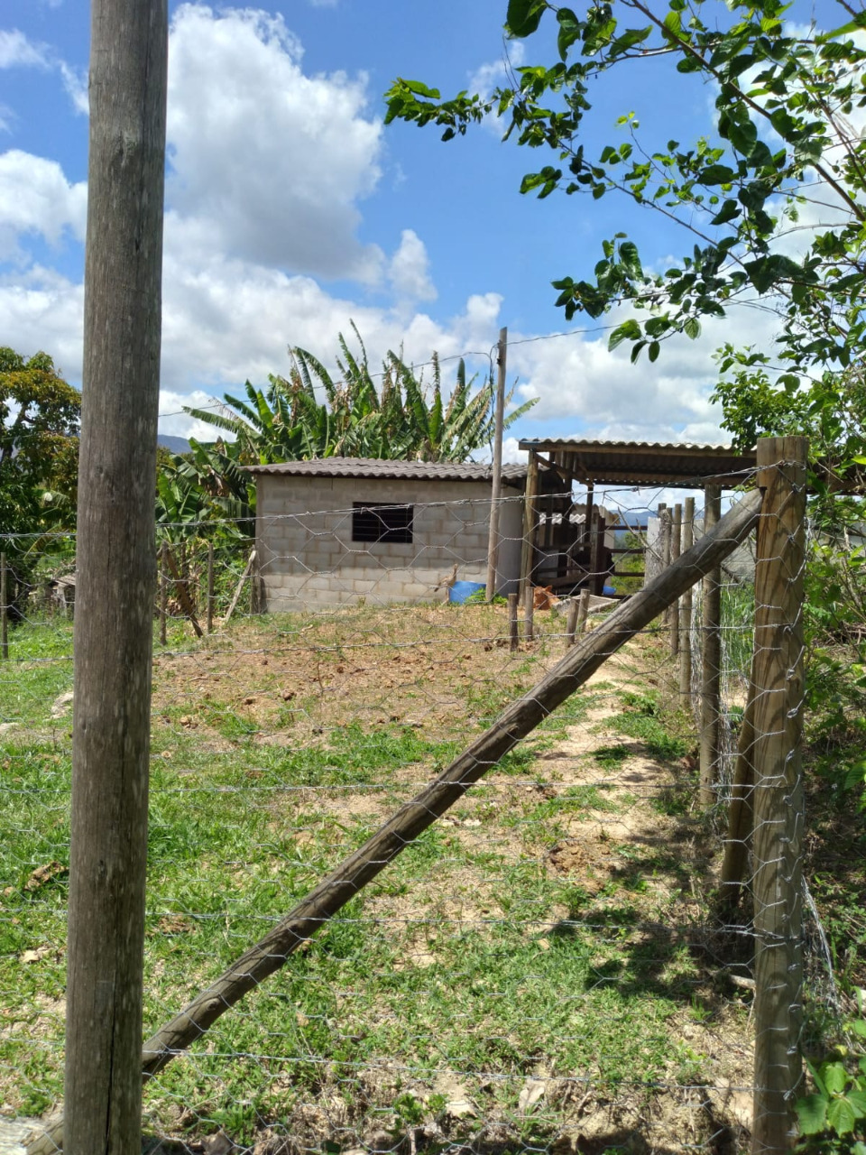 Imagem da propriedade 1744757 26