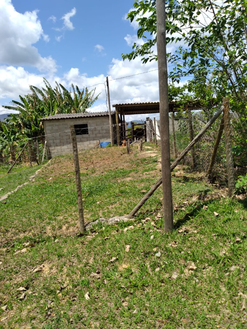 Imagem da propriedade 1744757 28