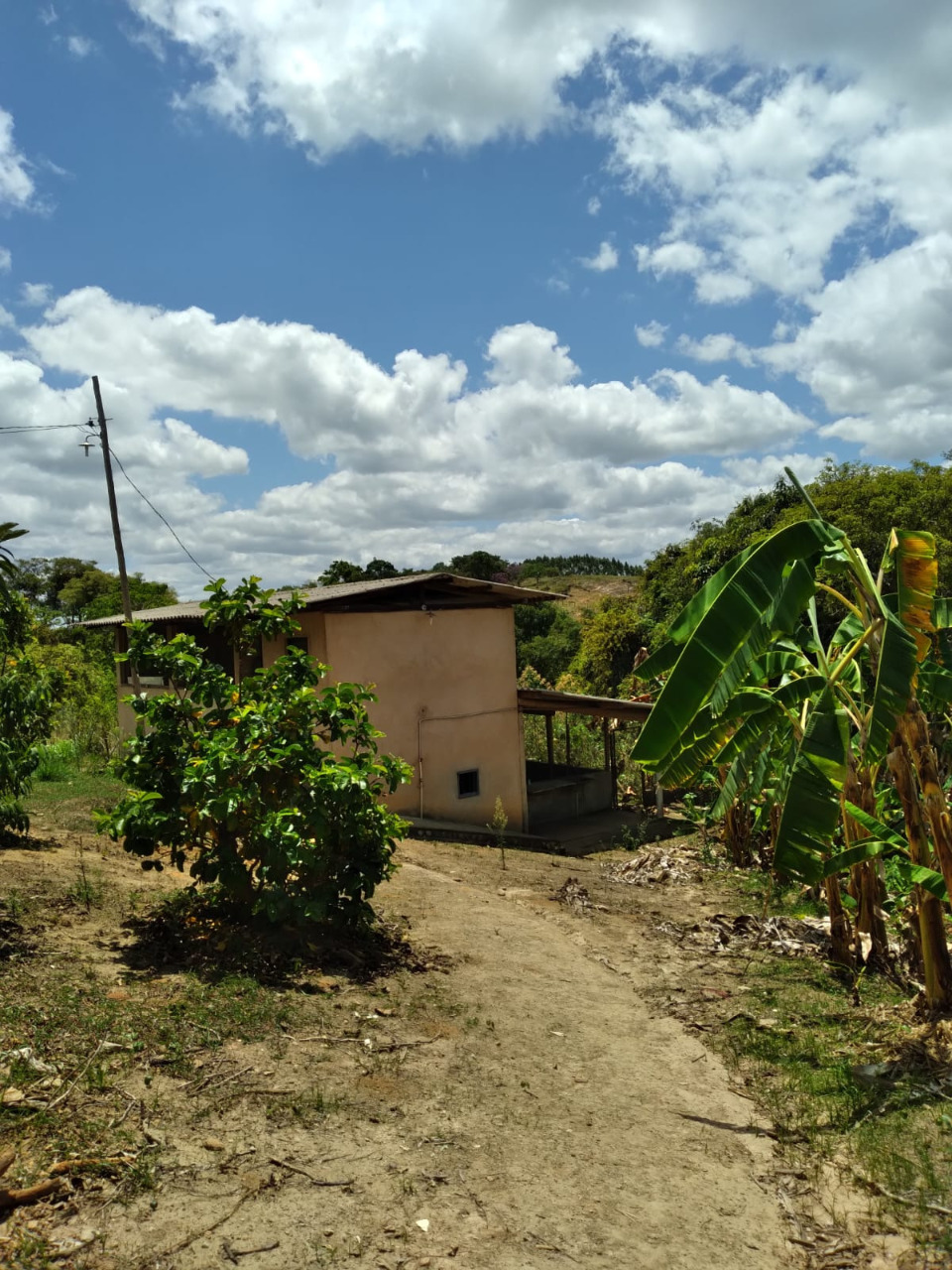 Imagem da propriedade 1744757 33