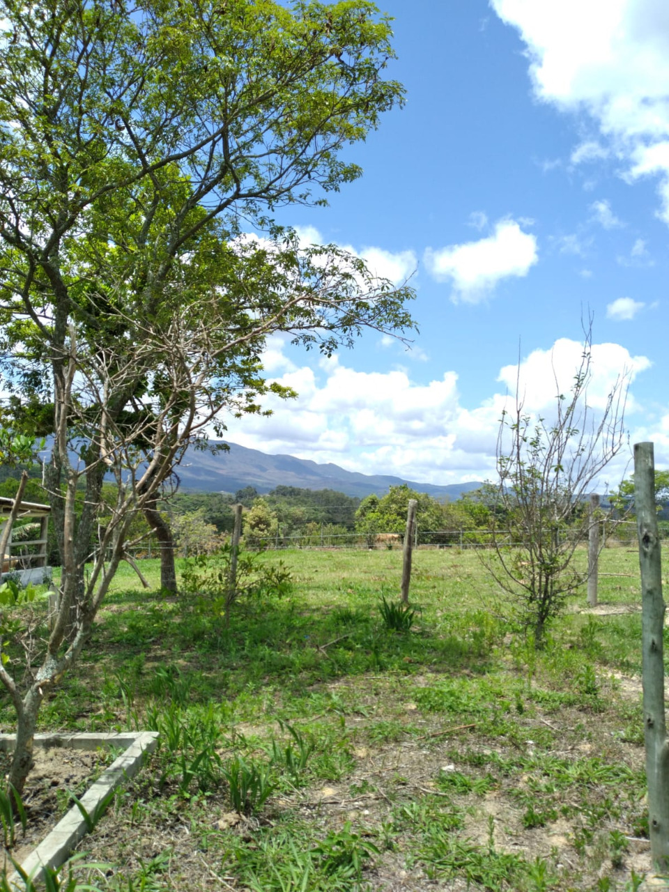 Imagem da propriedade 1744757 35