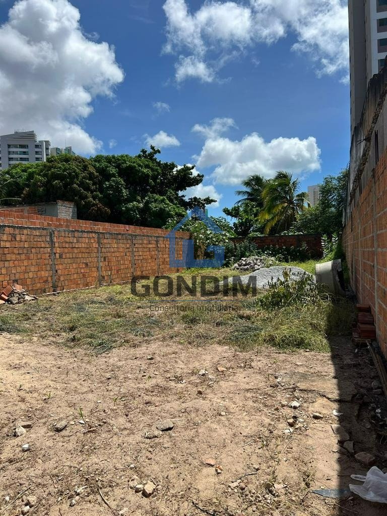 Imagem da propriedade 23