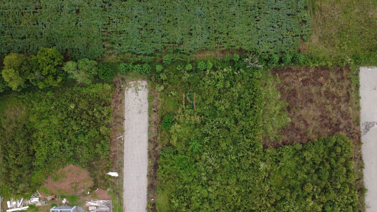 Imagem da propriedade GNX553 2