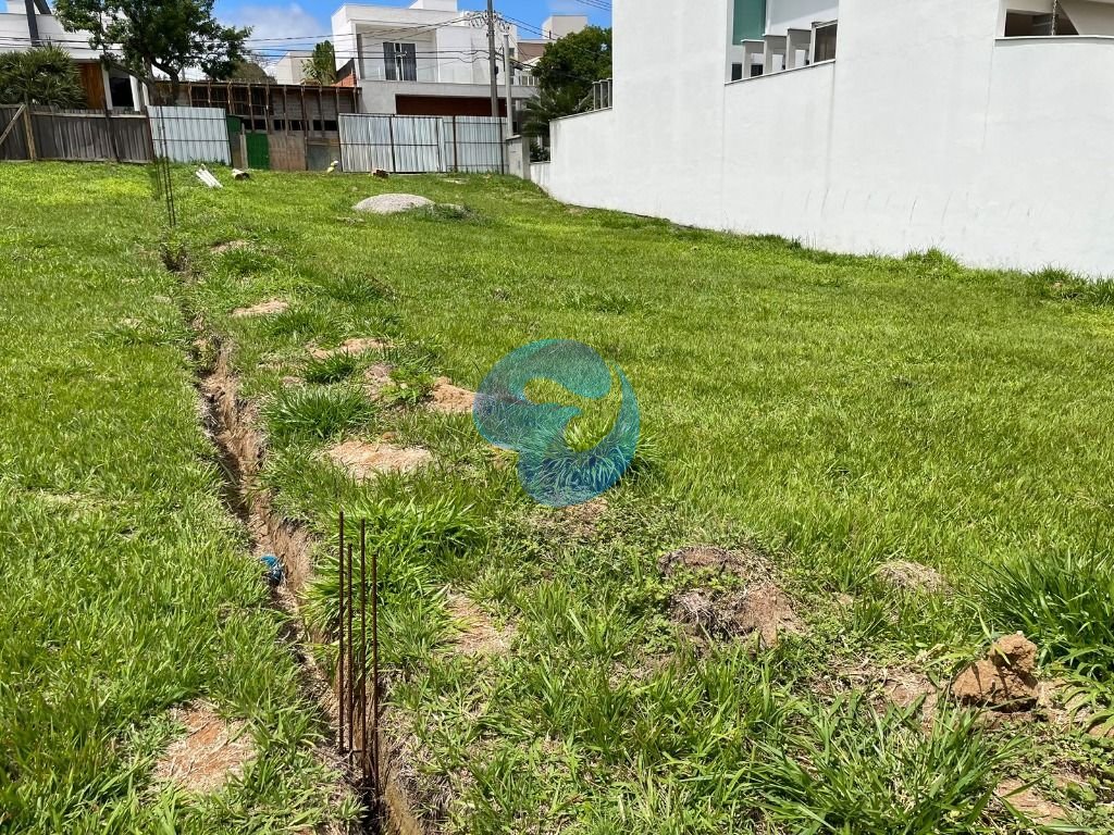Imagem da propriedade 4