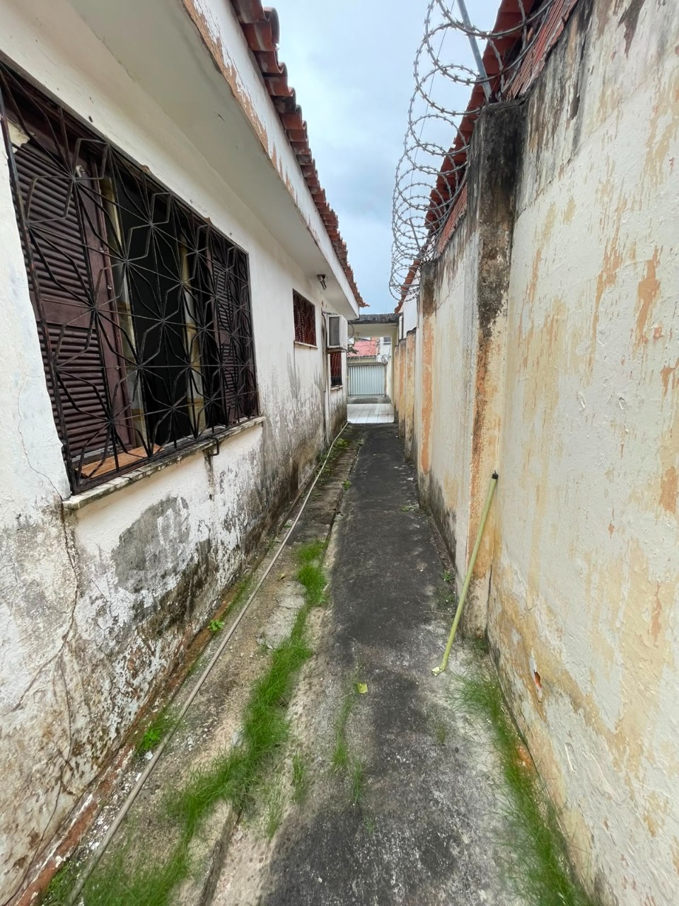 Imagem da propriedade 28