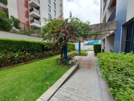 Imagem da propriedade 5