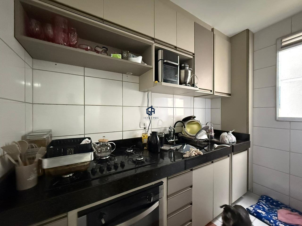 Imagem da propriedade 28