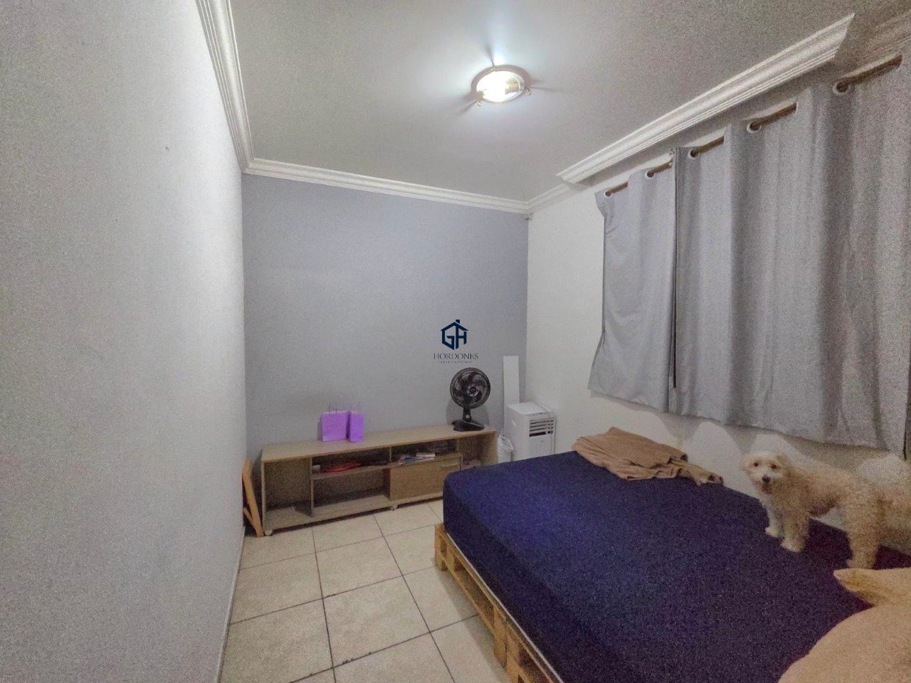 Imagem da propriedade 6