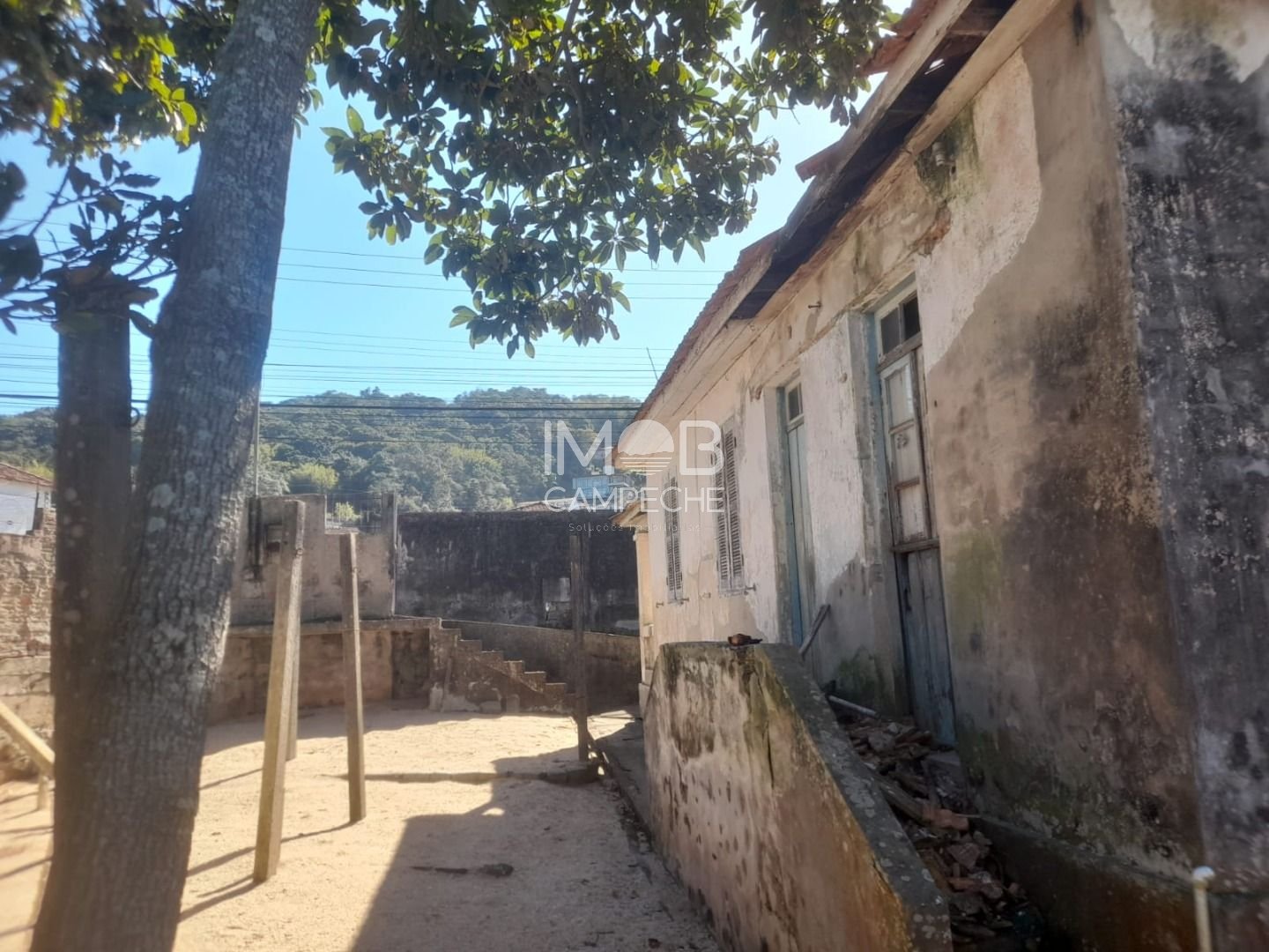 Imagem da propriedade 12