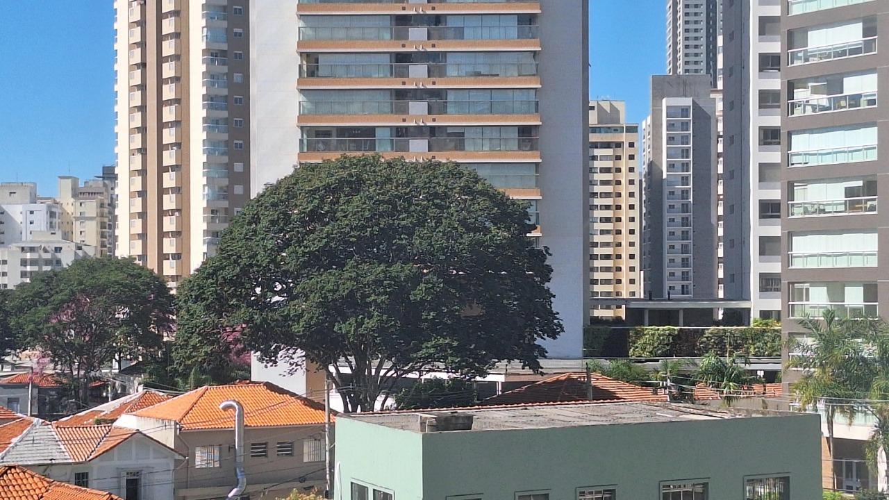 Imagem da propriedade 2