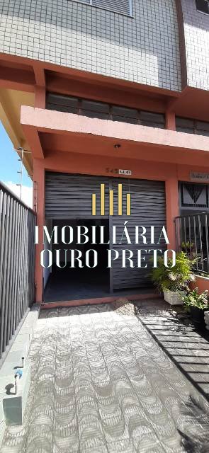 Imagem da propriedade 6