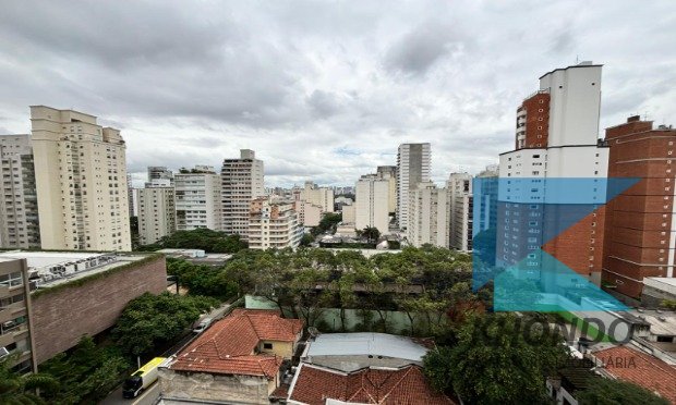 Imagem da propriedade 8